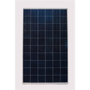 Panneau solaire 275W polycristallin RenewSys