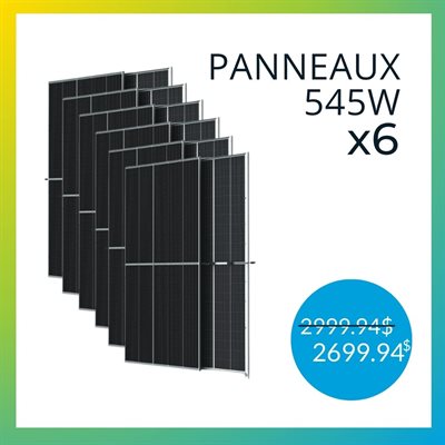 Panneau solaire bifacial 545W monocristallin Vertex de Trina Solar (x6)